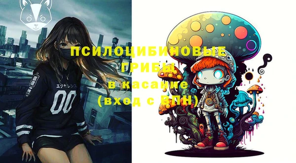 гидропоника Красноперекопск