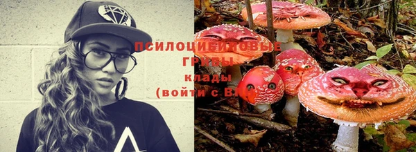 a pvp Кукмор