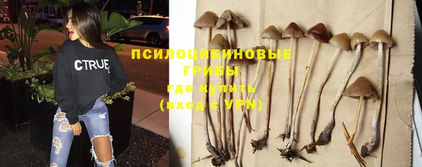 эйфоретик Кулебаки
