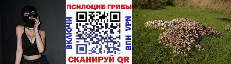 Галлюциногенные грибы Psilocybine cubensis  МЕГА ссылка  Оханск 